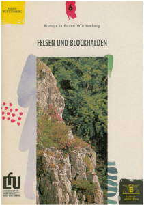 Bild der Titelseite der Publikation: Felsen und Blockhalden
