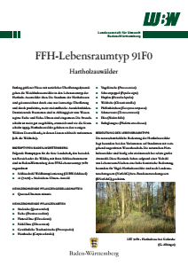 Bild der Titelseite der Publikation: FFH-Lebensraumtyp 91F0