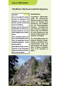 Bild der Titelseite der Publikation: Natura 2000 gemeinsam umsetzen - Nördlicher Talschwarzwald bei Oppenau