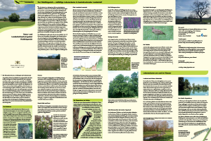 Bild der Titelseite der Publikation: Natur- und Landschaftsschutzgebiet Waldhägenich