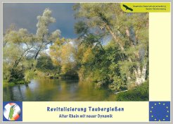 Bild der Titelseite der Publikation: Revitalisierung Taubergießen