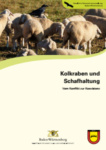 Bild der Titelseite der Publikation: Kolkraben und Schafhaltung