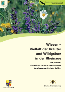 Bild der Titelseite der Publikation: Wiesen - Vielfalt der Kräuter und Wildgräser in der Rheinaue