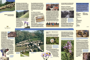 Bild der Titelseite der Publikation: Schäferei und Naturschutz in Markgröningen