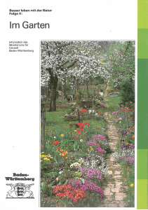 Bild der Titelseite der Publikation: Im Garten