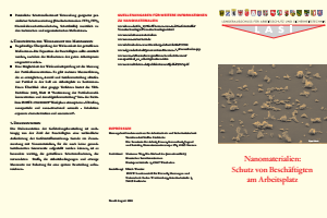 Bild der Titelseite der Publikation: Nano_Flyer