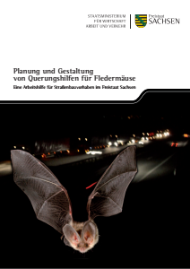 Bild der Titelseite der Publikation: Planung und Gestaltung für Querungshilfen für Fledermäuse