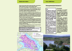 Bild der Titelseite der Publikation: Natura 2000 gemeinsam umsetzen - Managementplan Bodanrück