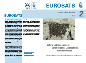 Bild der Titelseite der Publikation: Arbeitshilfen zum Thema Fledermausschutz