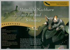 Bild der Titelseite der Publikation: Säugetiere
