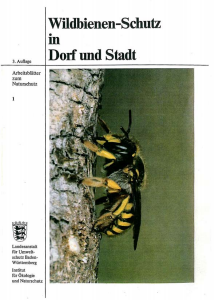 Bild der Titelseite der Publikation: Wildbienen-Schutz in Dorf und Stadt