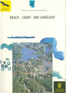 Bild der Titelseite der Publikation: Bruch-, Sumpf- und Auwälder