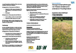 Bild der Titelseite der Publikation: Managementempfehlungen von Senecio aquaticus (Wasser-Greiskraut) in extensivem Feuchtgrünland
