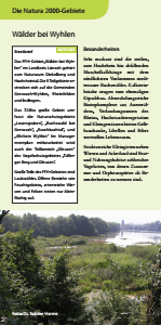 Bild der Titelseite der Publikation: Natura 2000 gemeinsam umsetzen - Wälder bei Wyhlen