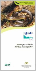 Bild der Titelseite der Publikation: Schlangen in Gefahr - Mythos Äskulapnatter