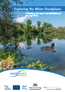 Bild der Titelseite der Publikation: Exploring the Rhine floodplains