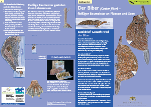 Bild der Titelseite der Publikation: Der Biber [Castor fiber]