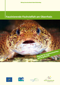 Bild der Titelseite der Publikation: Faszinierende Fischvielfalt am Oberrhein