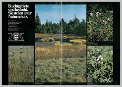 Bild der Titelseite der Publikation: Feuchtgebiete sind bedroht. Sie stehen unter Naturschutz