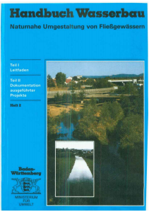 Bild der Titelseite der Publikation: Naturnahe Umgestaltung von Fließgewässern