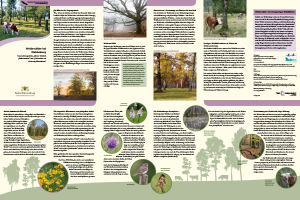 Bild der Titelseite der Publikation: Weidewälder bei Waldenburg