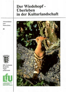 Bild der Titelseite der Publikation: Der Wiedehopf - Überleben in der Kulturlandschaft