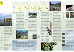 Bild der Titelseite der Publikation: Naturschutzgebiet Altrhein Neuburgweier