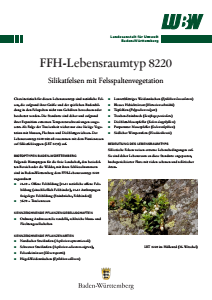 Bild der Titelseite der Publikation: FFH-Lebensraumtyp 8220