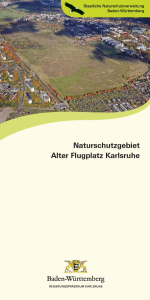 Bild der Titelseite der Publikation: Naturschutzgebiet Alter Flugplatz Karlsruhe