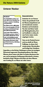 Bild der Titelseite der Publikation: Natura 2000 gemeinsam umsetzen - Unterer Neckar