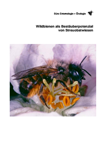 Bild der Titelseite der Publikation: Ermittlung der Wildbienenarten als Bestäuberpotenzial von Streuobstwiesen und Entwicklung eines speziellen Maßnahmenkonzepts zu ihrer dauerhaften Förderung