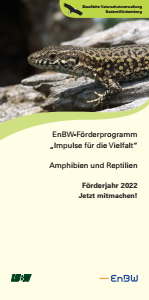 Bild der Titelseite der Publikation: ENBW-Förderprogramm "Impulse für die Vielfalt"