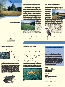 Bild der Titelseite der Publikation: Naturschutzgebiet Büsnauer Wiesental