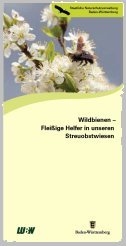 Bild der Titelseite der Publikation: Wildbienen - Fleißige Helfer in unseren Streuobstwiesen