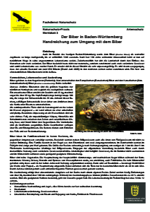 Bild der Titelseite der Publikation: Der Biber in Baden-Württemberg - Handreichung zum Umgang mit dem Biber