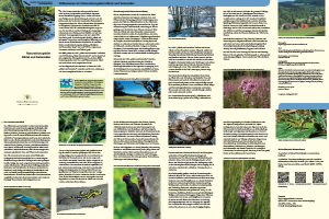 Bild der Titelseite der Publikation: Naturschutzgebiet Albtal und Seitentäler