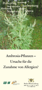 Bild der Titelseite der Publikation: Ambrosia-Pflanzen - Ursache für die Zunahme von Allergien?