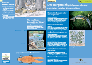Bild der Titelseite der Publikation: Der Bergmolch