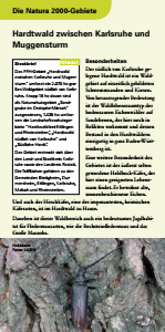 Bild der Titelseite der Publikation: Natura 2000 gemeinsam umsetzen - Hardtwald zwischen Karlsruhe und Muggensturm