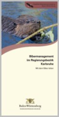 Bild der Titelseite der Publikation: Bibermanagement im Regierungsbezirk Karlsruhe