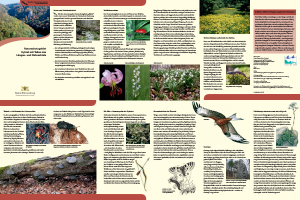 Bild der Titelseite der Publikation: Naturschutzgebiet Eybtal mit Teilen des Längen- und Rohrachtals