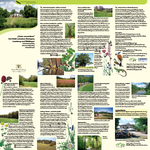 Bild der Titelseite der Publikation: Natur erwandern - Der Wald zwischen Stuttgart, Leonberg und Böblingen