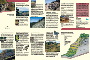 Bild der Titelseite der Publikation: Naturschutzgebiete im Taubertal