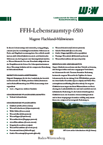 Bild der Titelseite der Publikation: FFH-Lebensraumtyp 6510