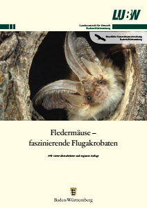 Bild der Titelseite der Publikation: Fledermäuse - faszinierende Flugakrobaten