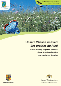 Bild der Titelseite der Publikation: Unsere Wiesen im Ried - Les prairies du Ried