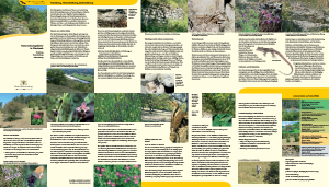 Bild der Titelseite der Publikation: Naturschutzgebiete in Mosbach