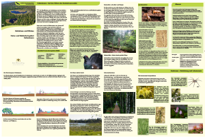 Bild der Titelseite der Publikation: Hohlohsee und Wildsee - Natur- und Waldschutzgebiet Kaltenbronn