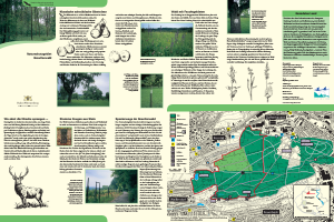 Bild der Titelseite der Publikation: Naturschutzgebiet Greutterwald