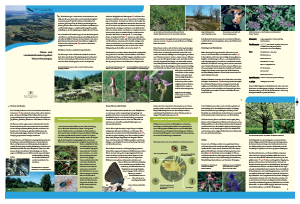 Bild der Titelseite der Publikation: Natur- und Landschaftsschutzgebiet Würm-Heckengäu